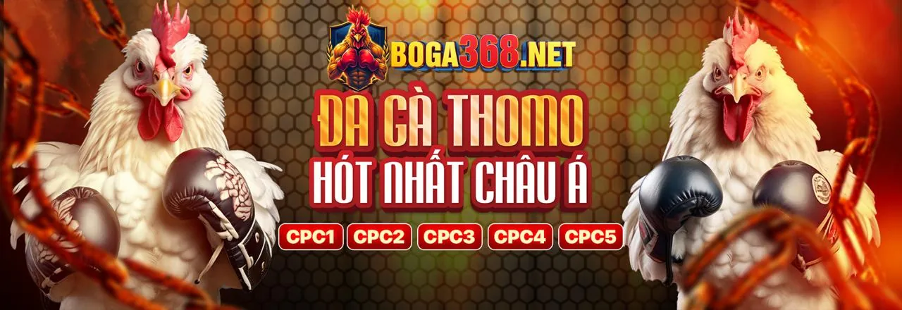 Biện pháp bảo mật dữ liệu của JBO